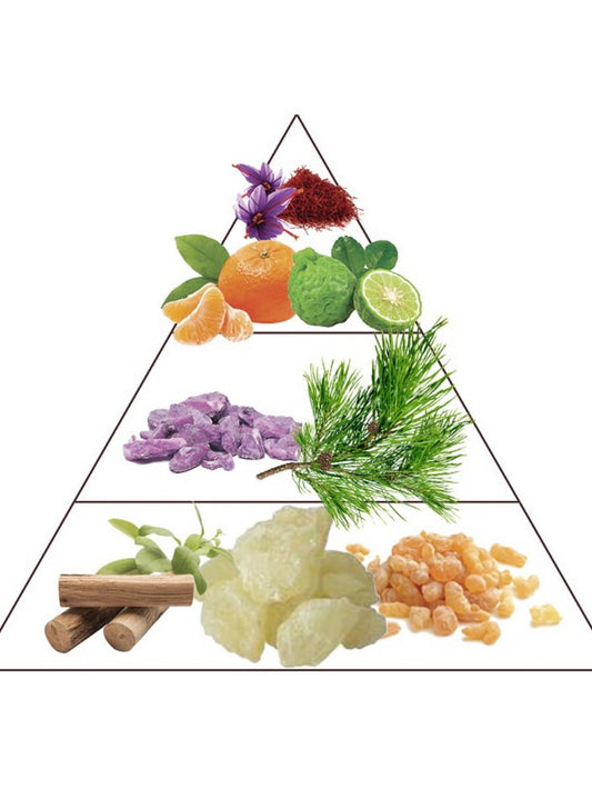 Molecule Tobacco - Extrait de Parfum | Luxury Tobacco Perfume Made in France